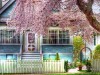 Architecture Definition Us Com Spring Time 2629476 Wallpaper wallpaper