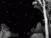 Emo Sad Anime Black And White Graphic Picture Imagesize Kilobyte 191639 Wallpaper wallpaper